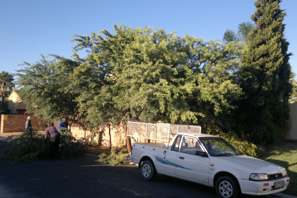 Top-Boreholes-1