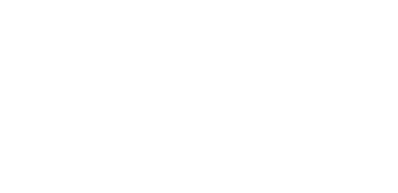 top-boreholes-lOGO